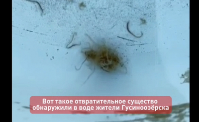 Скандал с червями на всю страну: грязные водоёмы Гусиноозёрска снова в центре внимания